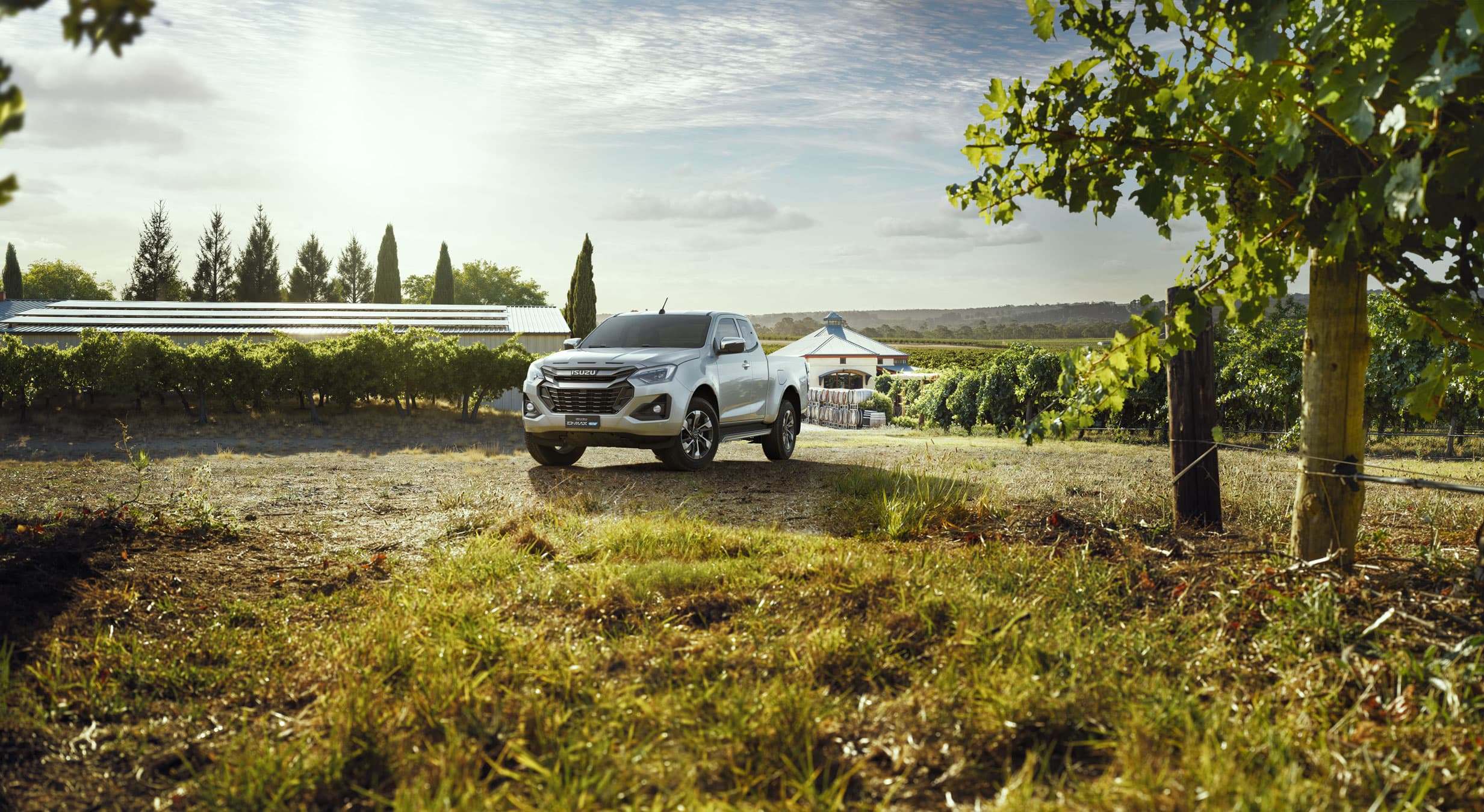 A white ISUZU D-MAX EV parked on a dirt path amidst a vineyard, with green vines under a bright sky and a building in the distance.